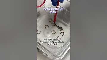 Anodizing Titanium Jewelry #shorts