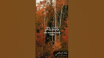 يَا أَيُّهَا الَّذِينَ آمَنُوا ارْكَعُوا وَاسْجُدُوا وَاعْبُدُوا رَبَّكُمْ - سورة الحج