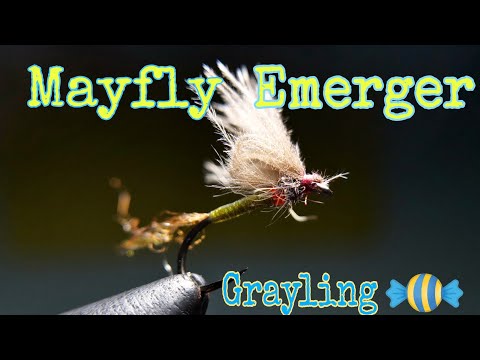 Mayfly Emerger-Grayling Candy