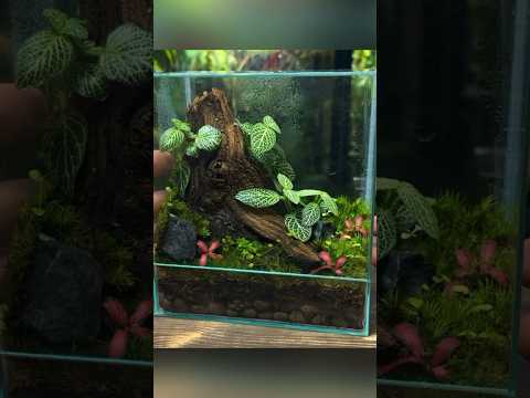 View of How To Make A Small Aquarium Ecosystem