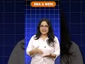 Bachelor of Business Administration: Top BBA Colleges in Delhi NCR | MERI College
