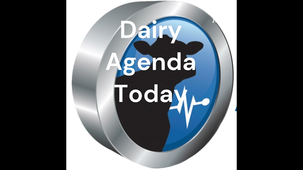 Dairy is the Darling