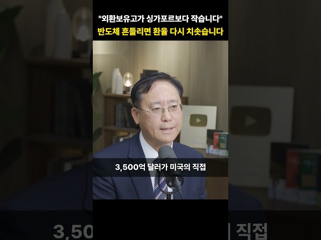 "외환보유고가 싱가포르보다 작습니다" 반도체 흔들리면 환율 다시 치솟습니다 [김대종 교수]