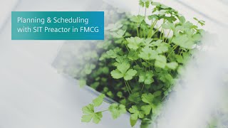 Planning and Scheduling with SIMATIC IT Preactor in FMCG