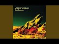 Wall of Voodoo - Dark Continent
