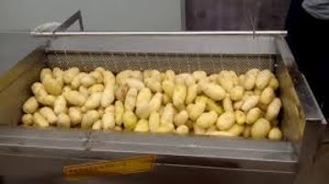 MÁY RỬA NÔNG SẢN CHẤT LƯỢNG