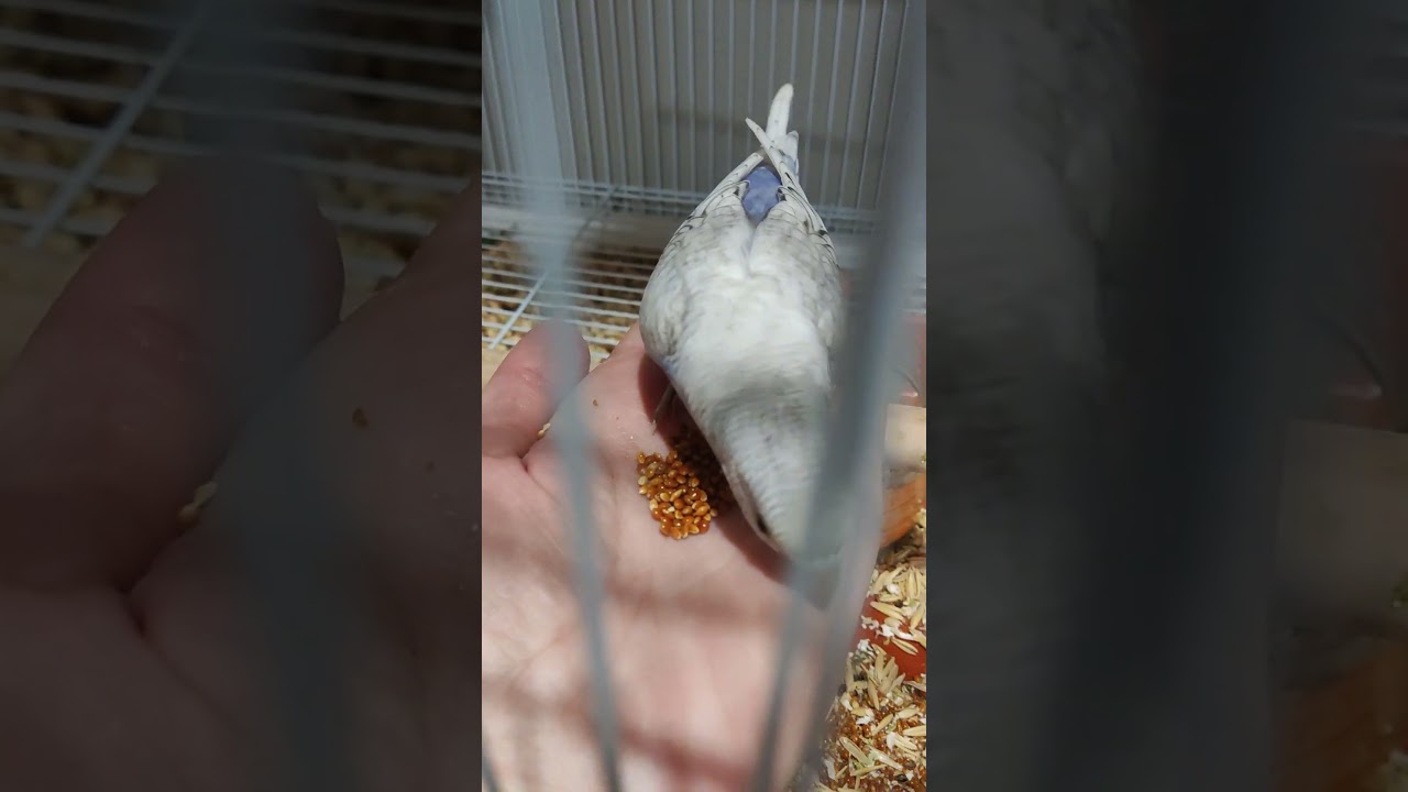 7 октября 2025