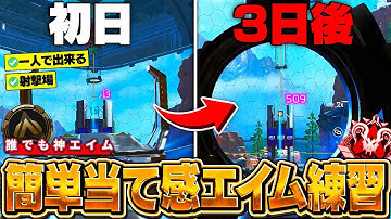 【かんたんで最強】一人で出来る無駄を省いた、最速で上手くなれるエイム練習方法解説【APEX】