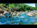 Tranquil River Flow 24/7 Live – Relaxing Water Sounds &amp; Green Noise for Better Sleep &amp; Focus