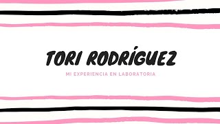 Mi experiencia en Laboratoria