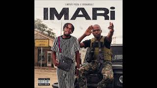 Limpopo pogba ft _khonangale .(imari chibhanditi)