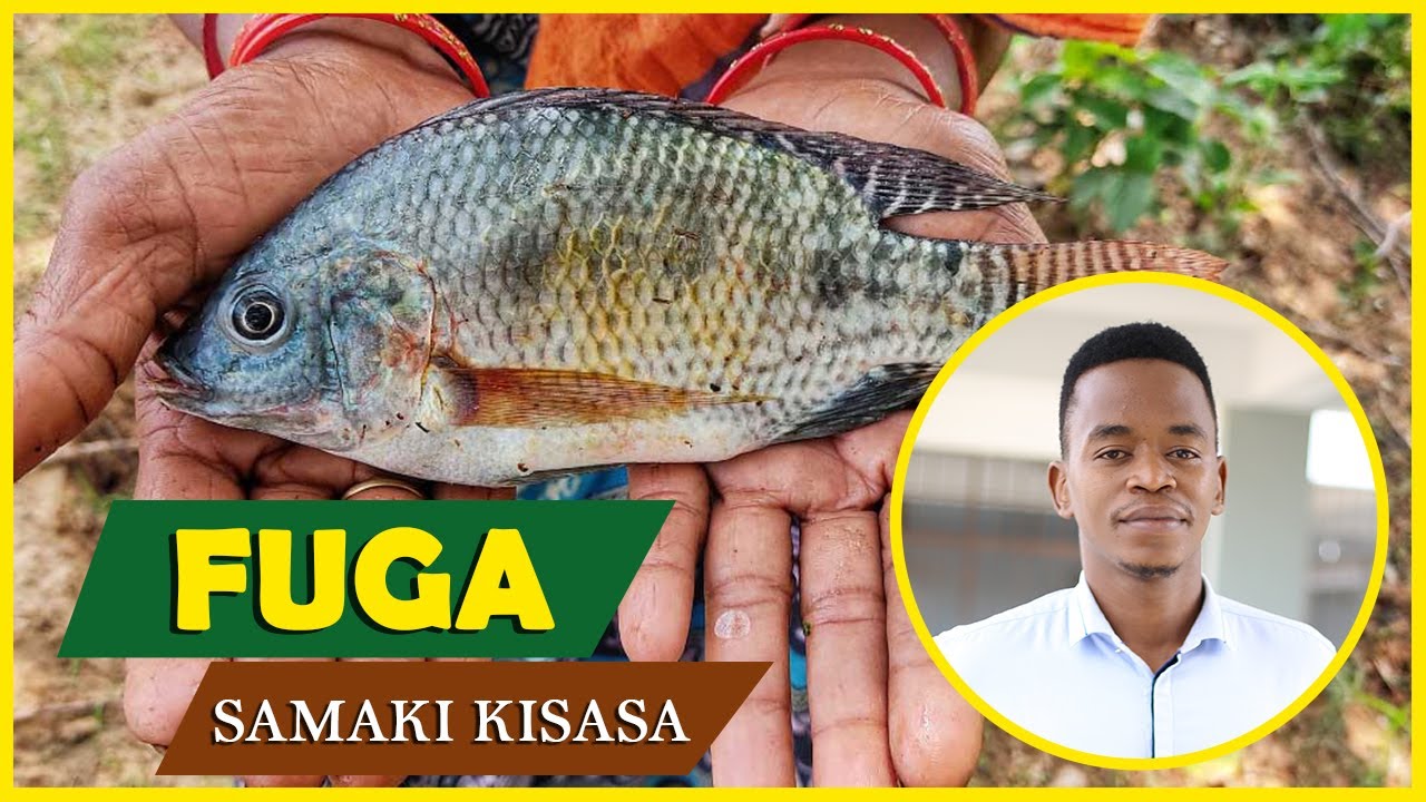 USIPUUZE HAYA MAMBO YA KUZINGATIA UFUGAJI WA SAMAKI
