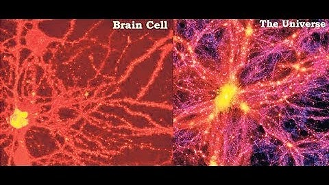 The Living Universe | Determinism & Randomness: Order Out Of Chaos