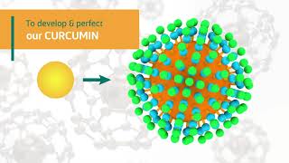 The Story Behind Longvida Optimized Curcumin