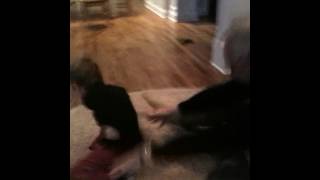 IMG 0630