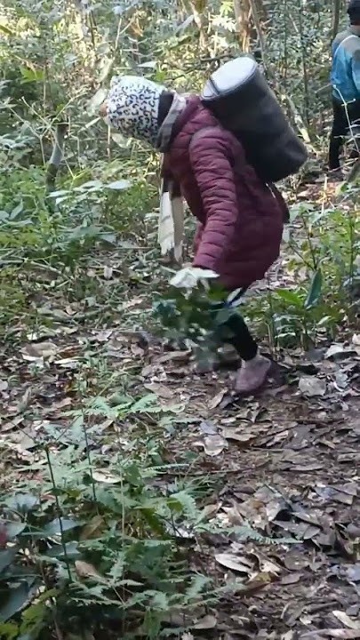 tanki tikri dung dung🤣