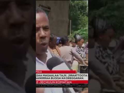 Guutinsa Jiga Bishaani Laga Hawaash Godina Shawaa Kibba Lixaa Aana Iluu