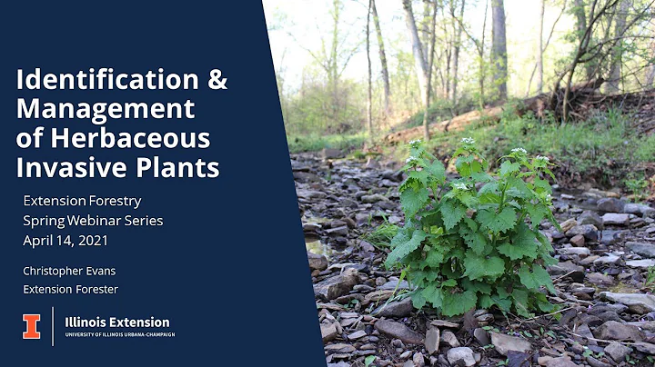 Identification and Management of Herbaceous Invasive Plants