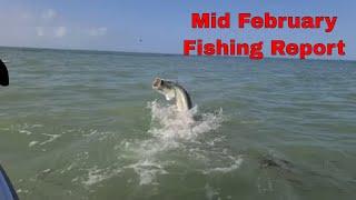 Mid February Backcountry Fishing Report - TARPON are here!