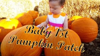 ALOUN FARM in Oahu, Hawaii PUMPKIN PATCH 2014 (Rainbow Pony, Balancing Pumpkin & Baby 1st Hay Ride)