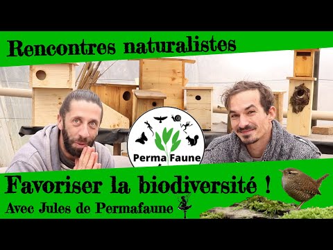 Vidéo: Problèmes liés aux mangeoires d'oiseaux : les toxines des graines de tournesol et leurs effets sur la croissance des plantes