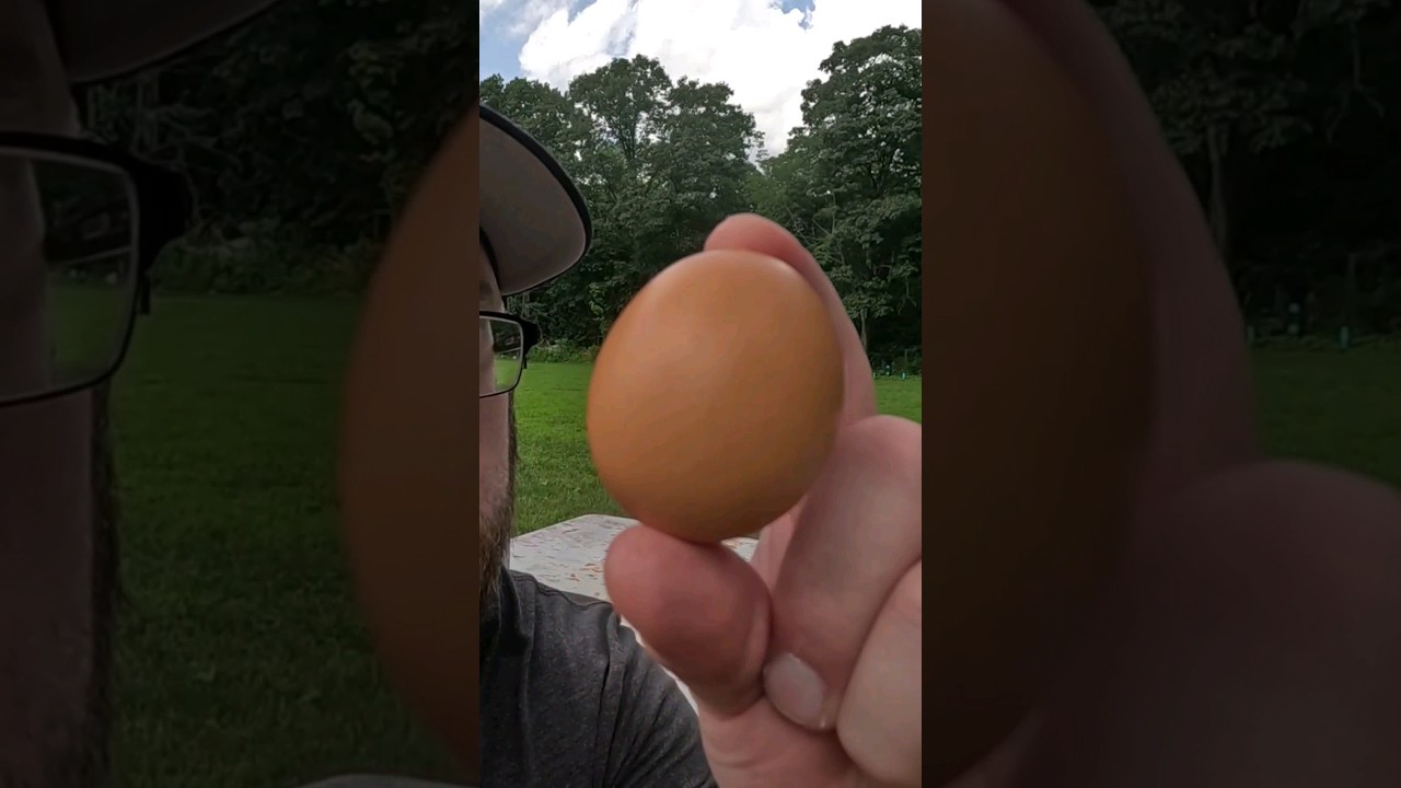 This Is Your Brain On PCP