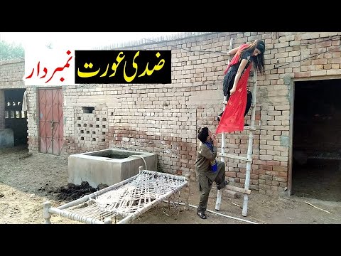 Number Daar  Or Zidi  Urat Funny  | New Top Funny |  Must Watch Top New Comedy Video 2020 | You Tv