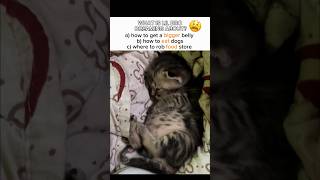 Sleepy Destroyer 🤔#babyshorts