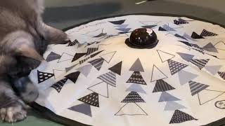 IMG 8273