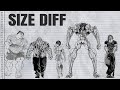 Baki Size Comparison 2026 Smallest To Tallest 