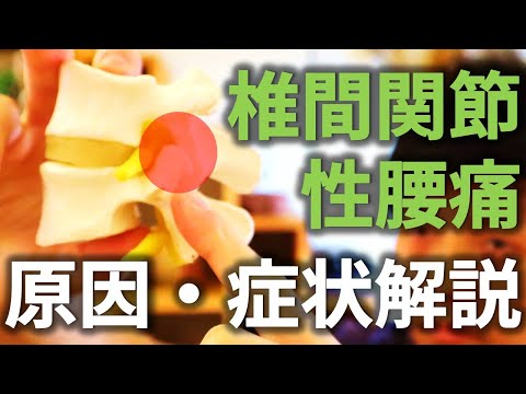 【腰痛#2】腰を反らすと痛む『椎間関節性腰痛』の原因を詳しく解説【長野市の整体Zen繕】