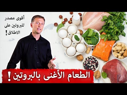 أفضل طعام غني بالبروتين للتعافي من التمرين والتوتر والتعب