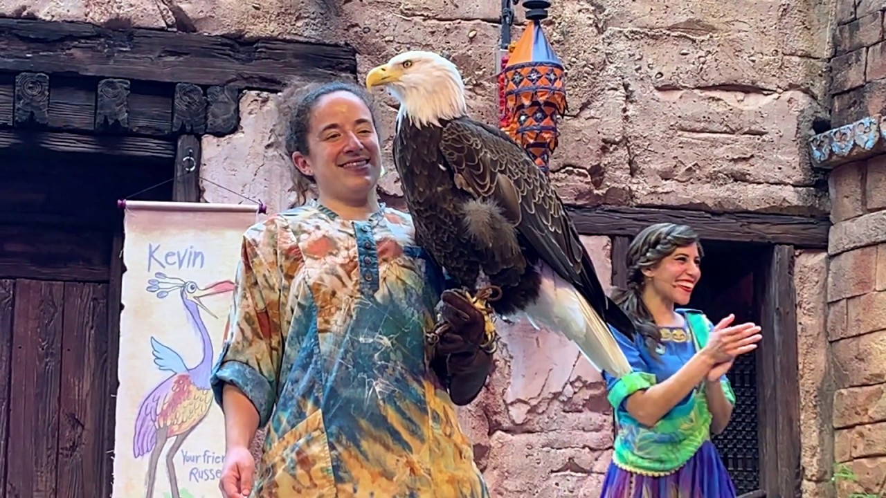 Up, Bird Show, Animal Kingdom. April 2019