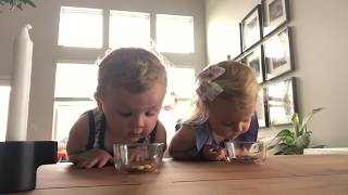 Irish Twins take on the toddler challenge #toddlerchallenge