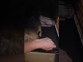 Charlie -at PetSmart Madison East video