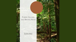 Loopable, Splashing Window Rain - Brown Noise