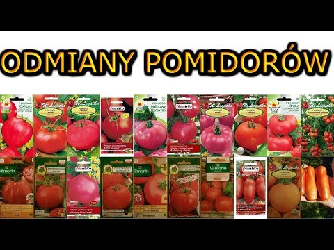 Wideo: Odmiany I Hybrydy Pomidorów W Tym Sezonie - Powodzenia I Chybienia