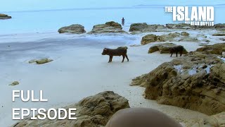 Starving and Dehydrated | The Island with Bear Grylls | Season 2 Episode 6 | Full Episode screenshot 3