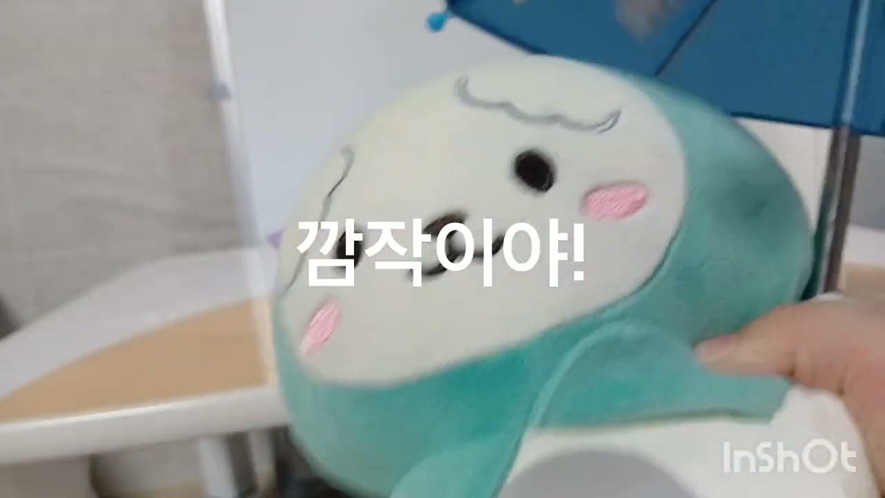처음 으로 포슬이 가 왔어요!