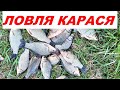 ЛОВЛЯ КАРАСЯ