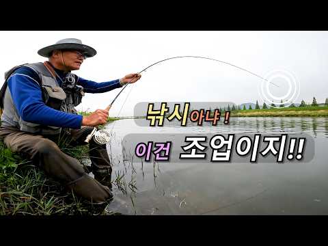 This isn't fishing, it's commercial harvesting! - 2026 Fly Fishing EP5 (Carp On The Fly) with CLO...