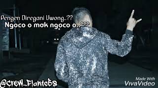 Status Wa bebas