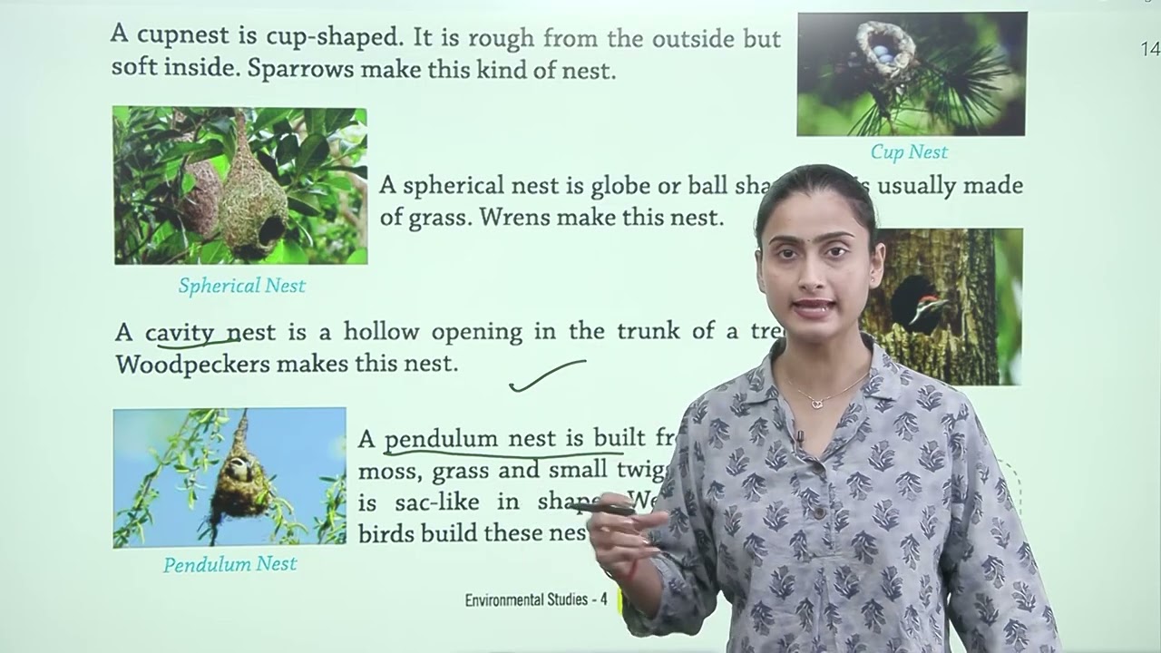 Ch 12 | Birds and Their Nests | My Green World | Class 04 | Growing Mind | For children