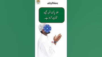 "Say Sorry to Allah – He Will Forgive All Your Sins"#Forgiveness #IslamicReminder #Shorts #Allah