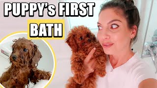 MY PUPPY's FIRST BATH 🐶My dog didn't like it?!