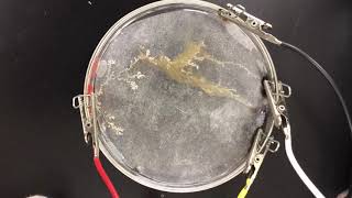 electrochemical deposition of Ag