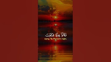 القران الكريم راحت البال والنفس والروح والقلب #اكسبلور #القرآن_الكريم #دويتو #يارب #duet #راحة_نفسية