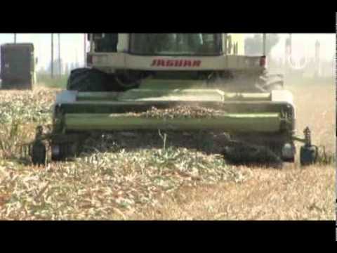 Fwu Landwirtschaft In Kalifornien Youtube
