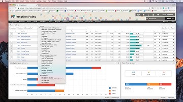 Project Management and Task Reporting with Function Point