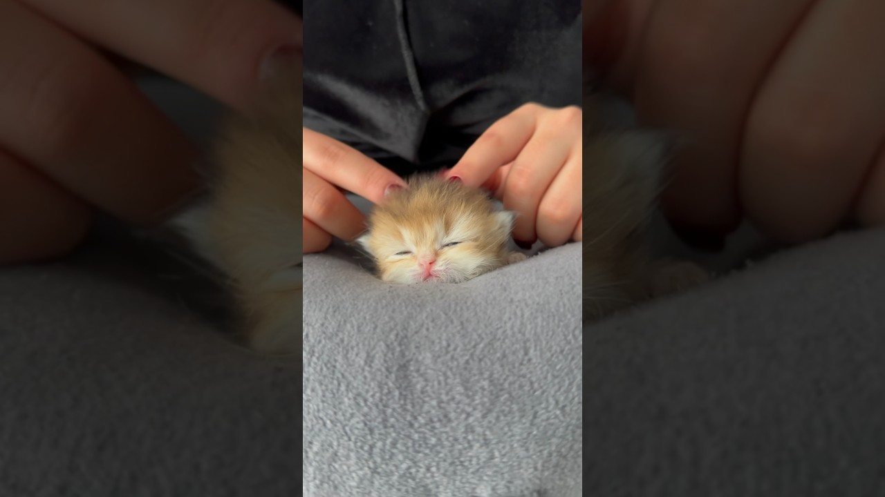 Look at my little wizard quickly 🧙🪄 